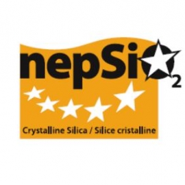 NEPSI